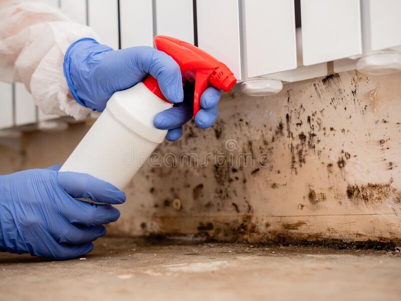 mold remediation norco